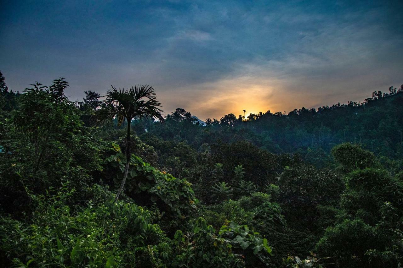 Готель Ecotones Munnar By Eden Environs Екстер'єр фото