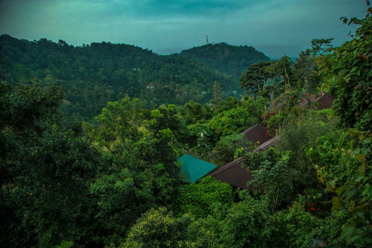Готель Ecotones Munnar By Eden Environs Екстер'єр фото
